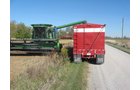 Property photo 49 - 110+/- Acres offered in 4 Tillable Tracts